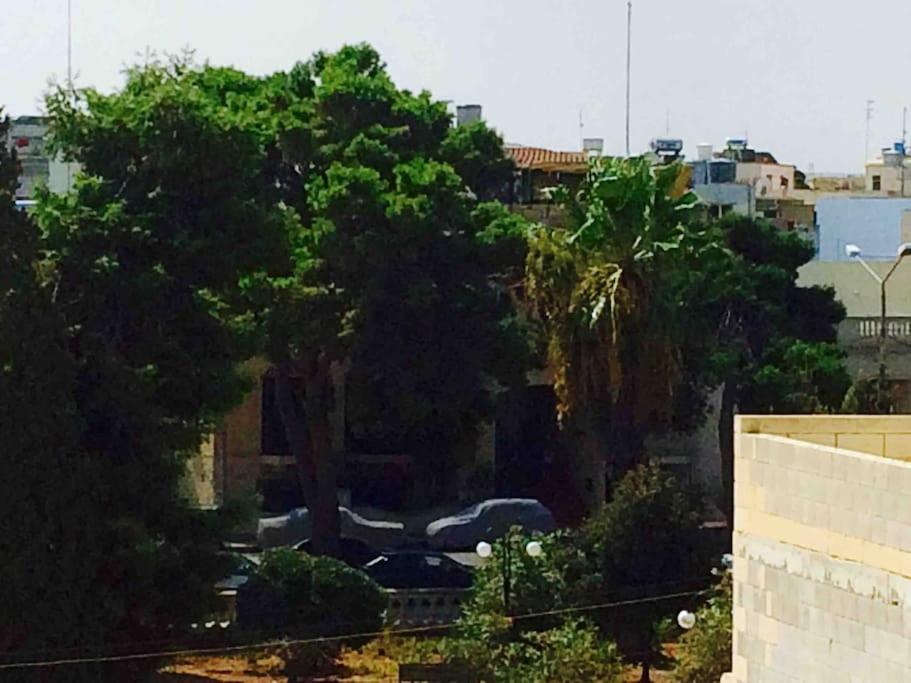 May Flower: Modern Flat Close To Airport/Bus Stops Tarxien Exteriör bild